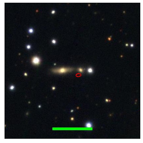 2142_055.0_contour_g