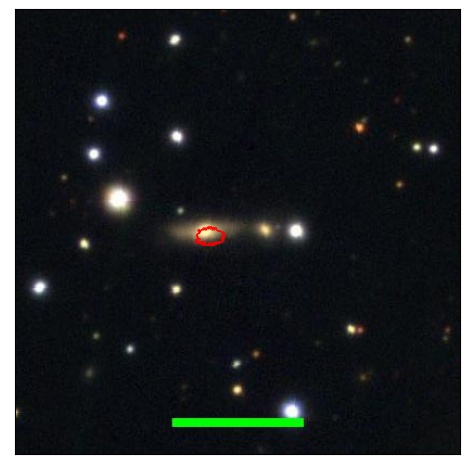 2142_055.0_contour_y