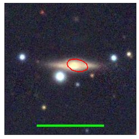 2142_082.0_contour_g