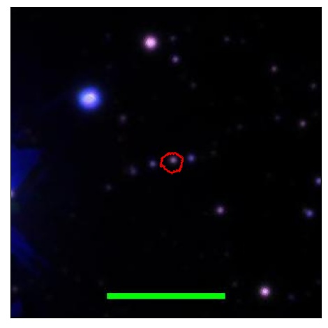 2144_002.0_contour_g