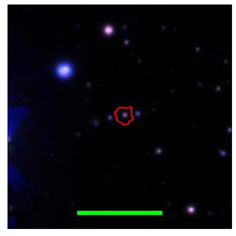 2144_002.0_contour_i