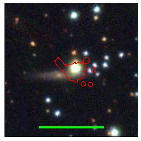 2144_009.0_contour_y