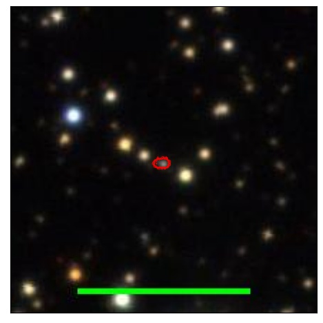 2145_008.0_contour_g