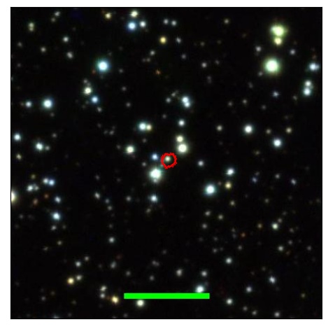 2145_019.0_contour_i