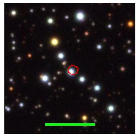 2146_028.0_contour_y