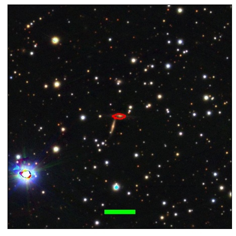 2149_035.2_contour_y