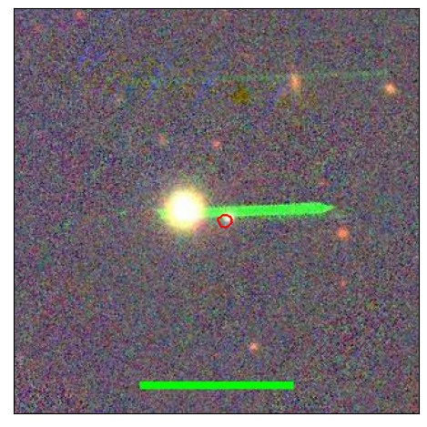 2154_031.0_contour_g