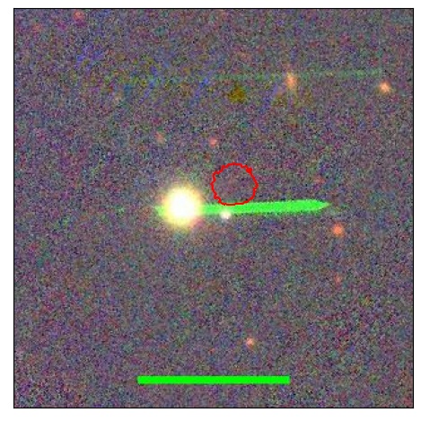 2154_031.0_contour_y