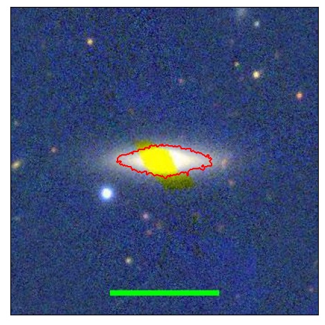 2164_077.0_contour_y