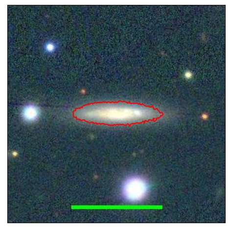 2164_081.0_contour_r