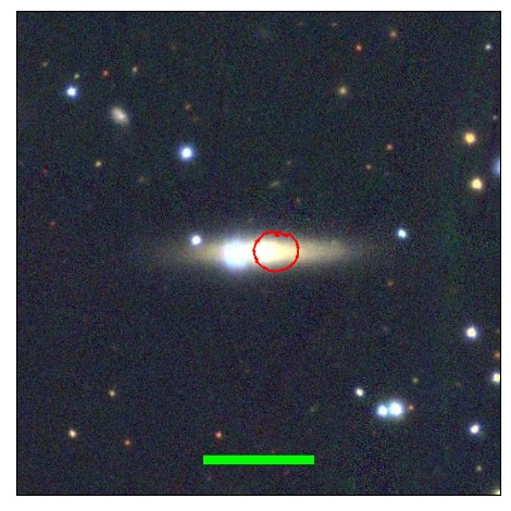 2166_010.0_contour_g