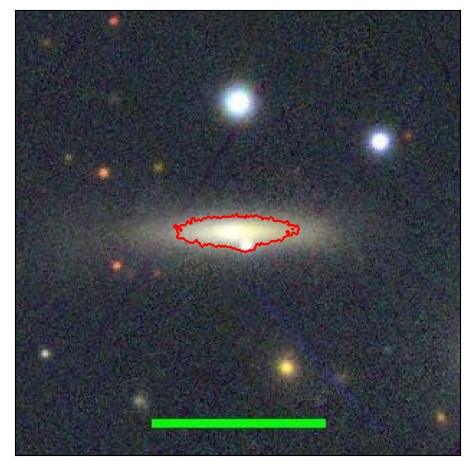 2166_040.0_contour_y