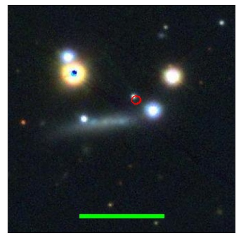 2166_065.0_contour_g