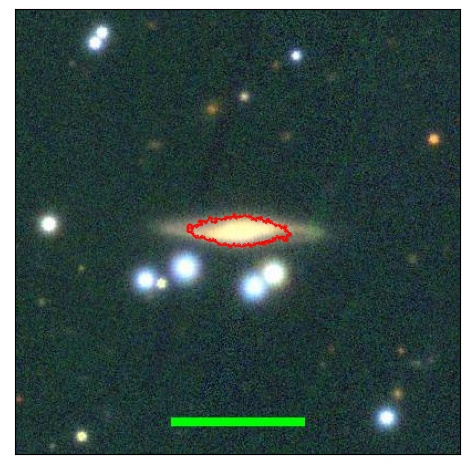 2177_025.0_contour_y