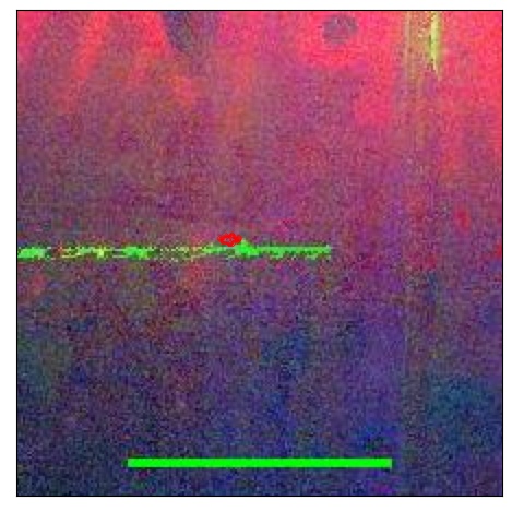 2181_077.0_contour_g