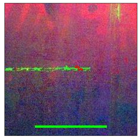 2181_077.0_contour_i