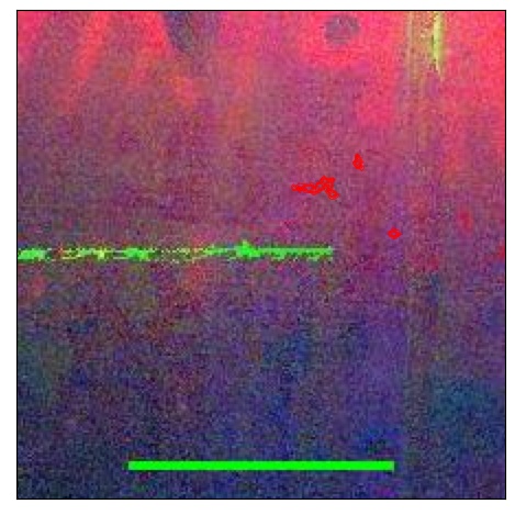 2181_077.0_contour_y