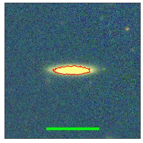 2184_041.0_contour_y