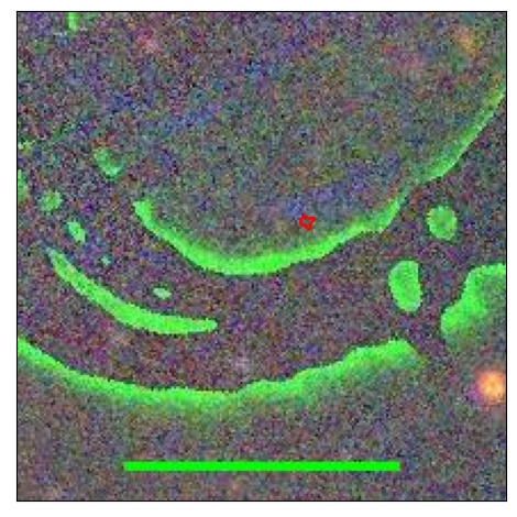 2186_032.1_contour_g