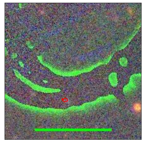 2186_032.1_contour_i