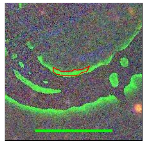 2186_032.1_contour_r