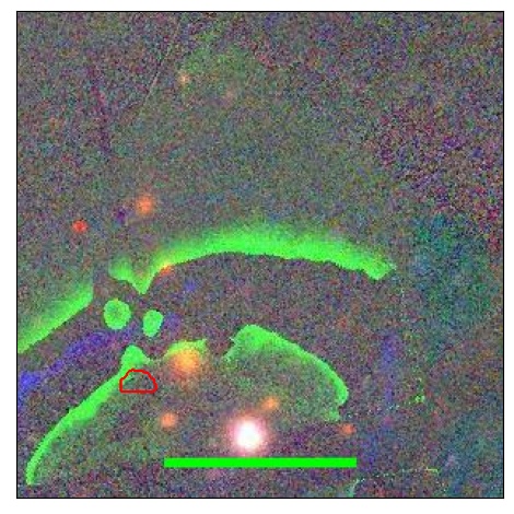 2186_032.2_contour_g