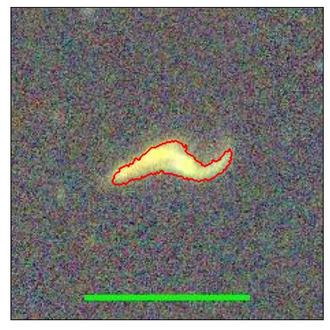 2193_016.1_contour_r