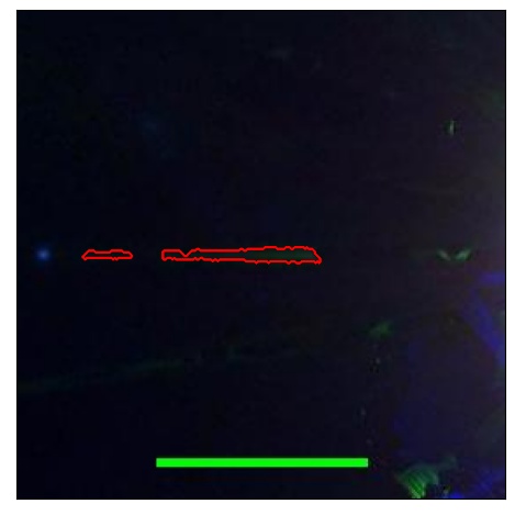 2197_094.0_contour_r