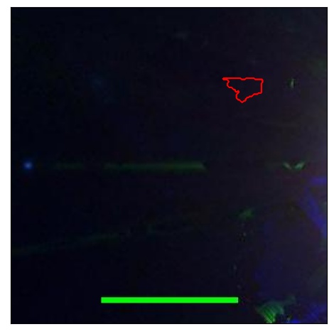 2197_094.0_contour_y