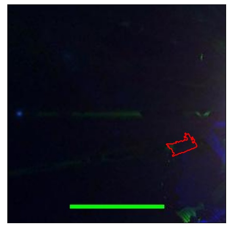 2197_094.0_contour_z