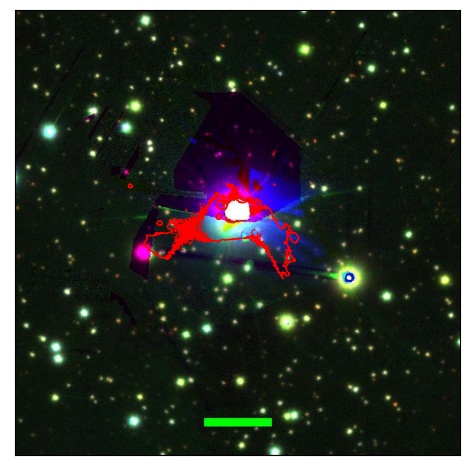 2213_031.0_contour_g