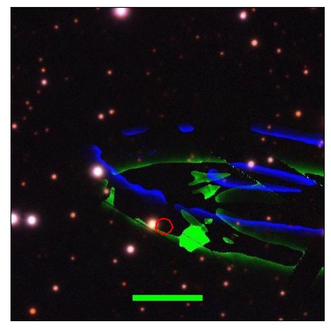 2239_087.0_contour_y