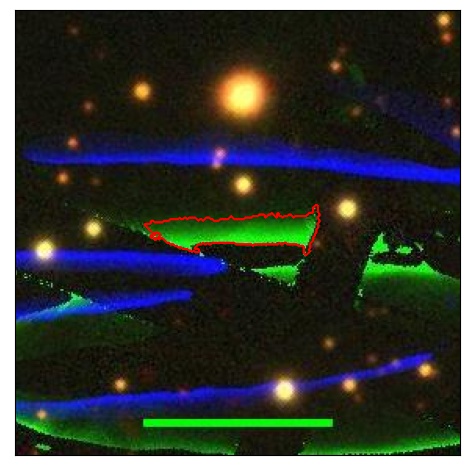 2239_087.1_contour_r