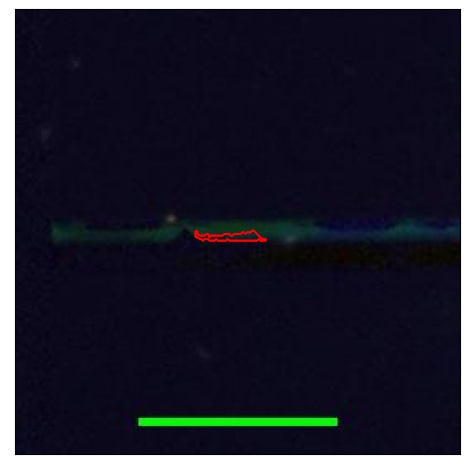 2248_030.0_contour_g