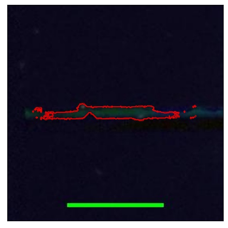 2248_030.0_contour_r