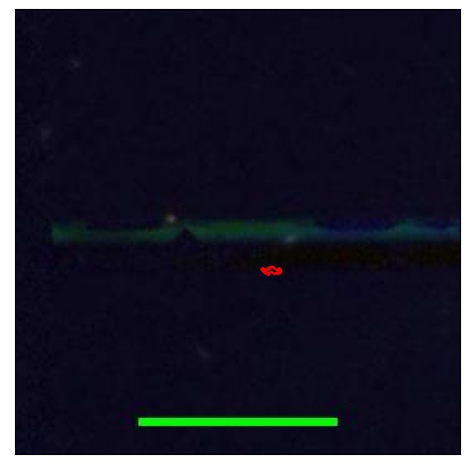 2248_030.0_contour_y