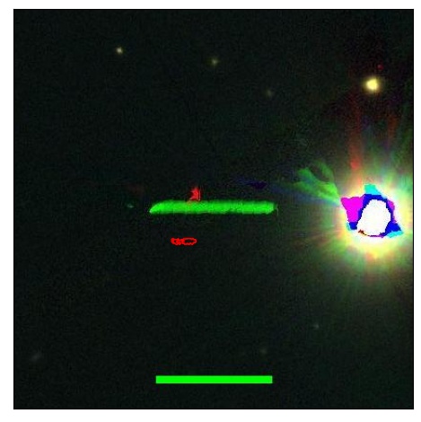 2262_031.0_contour_g