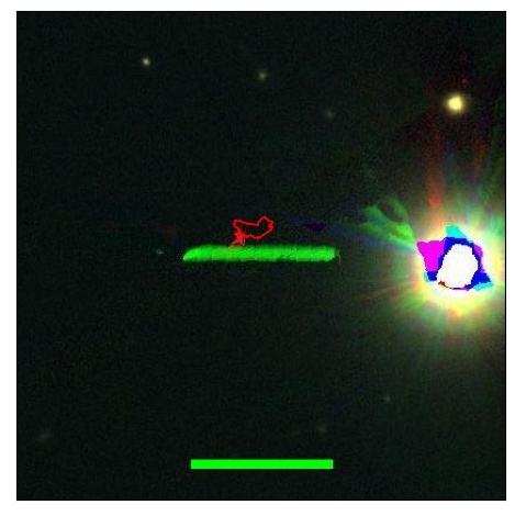 2262_031.0_contour_i