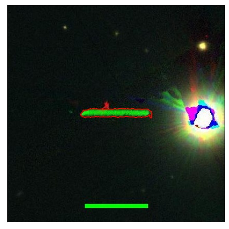 2262_031.0_contour_r