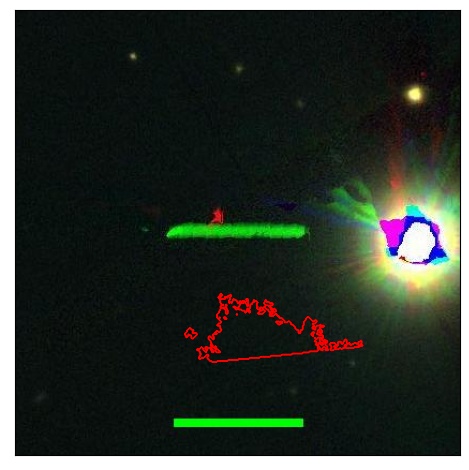 2262_031.0_contour_y