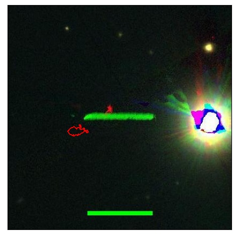 2262_031.0_contour_z