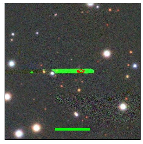 2294_024.0_contour_r