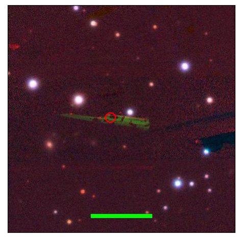 2295_007.0_contour_z