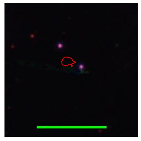 2295_068.0_contour_g