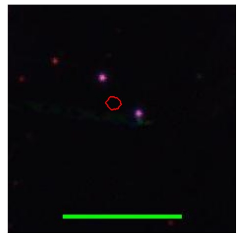 2295_068.0_contour_i