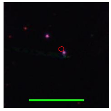 2295_068.0_contour_y