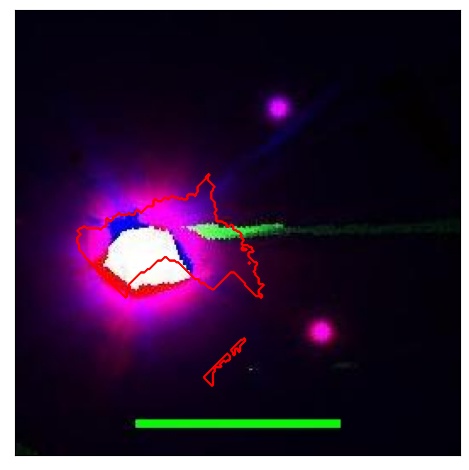 2311_011.0_contour_g