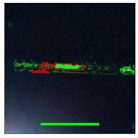 2316_080.0_contour_r