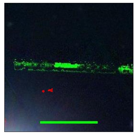 2316_080.0_contour_z