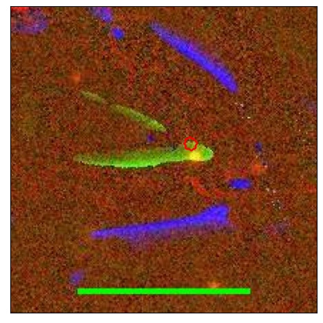 2323_065.0_contour_i